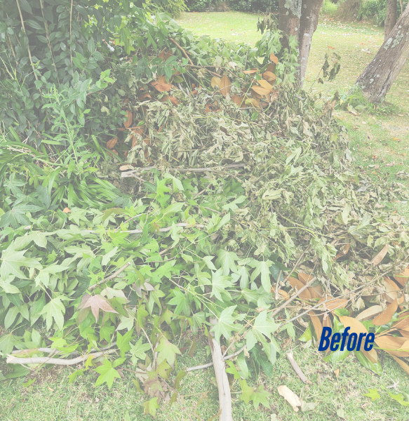 ample-removers-green-waste-project-example