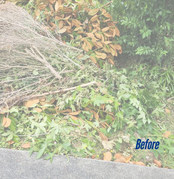 before-after-green-waste-removal-nz
