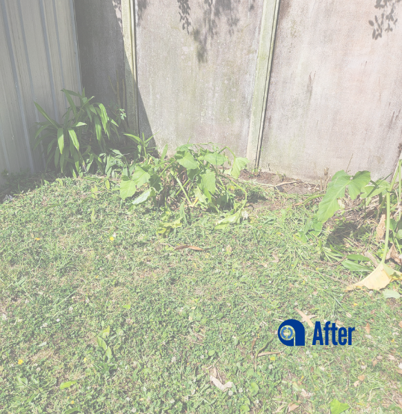garden-cleanup-ample-removers-project