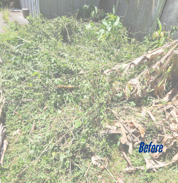 green-waste-disposal-auckland-backyard-cleanup