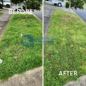 lawn-mowing-transformation-auckland